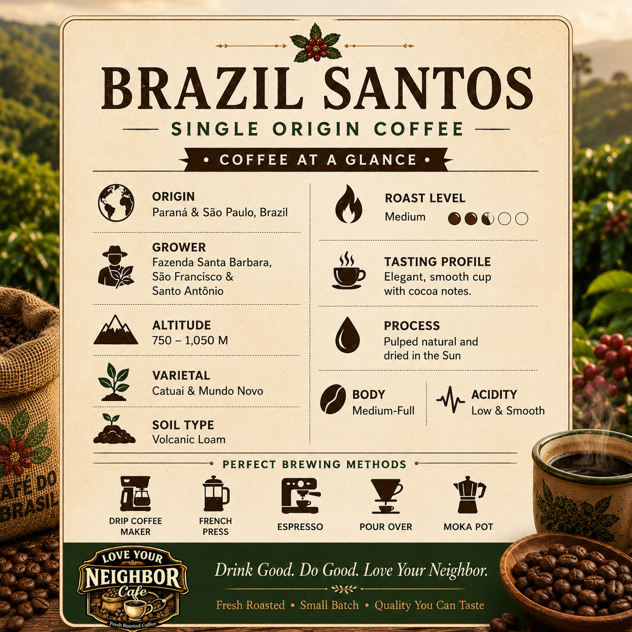Brazil Santos Single Origin Coffee